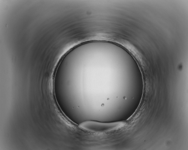 X0000099321238200805091034