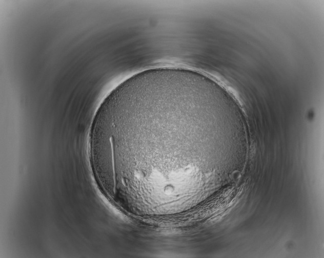 X0000099321239200805091034