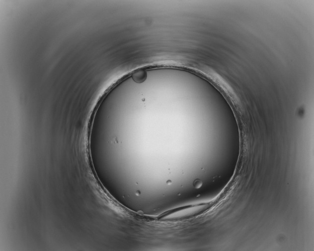 X0000099321240200805091034