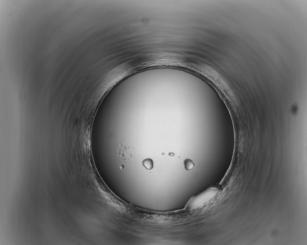 X0000099321241200805091034