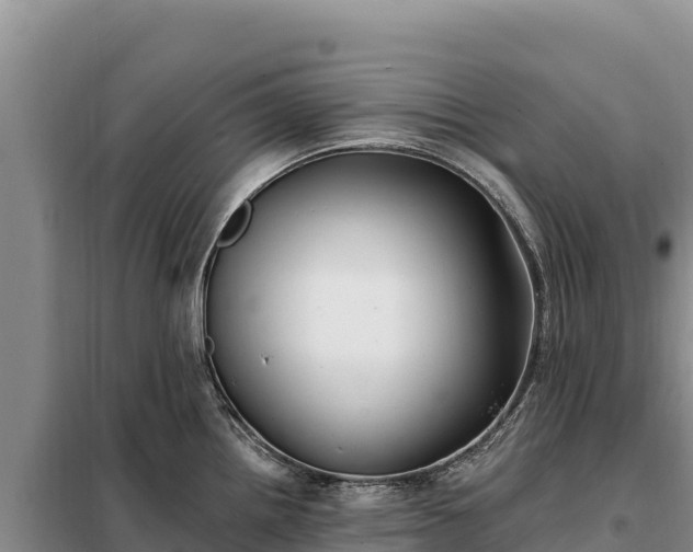 X0000099321242200805091034