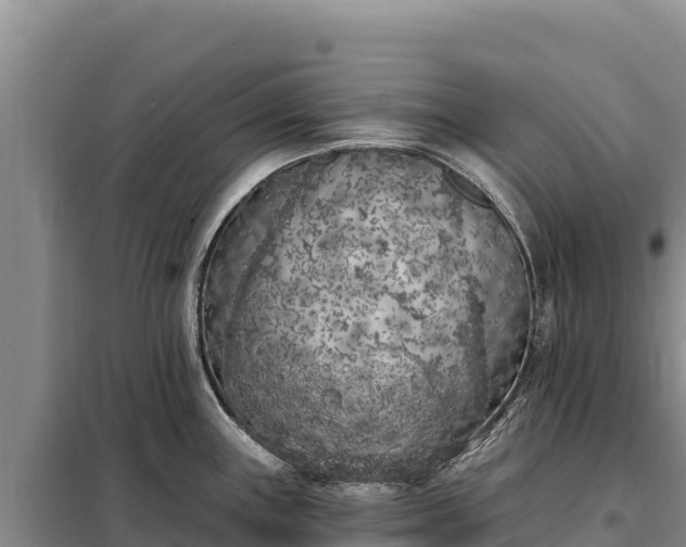 X0000099321243200805091034