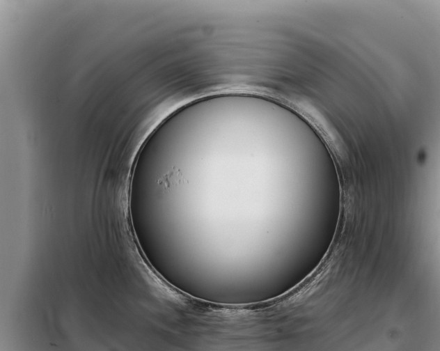 X0000099321244200805091034