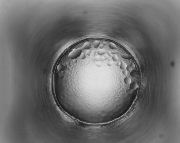 X0000099321245200805091034