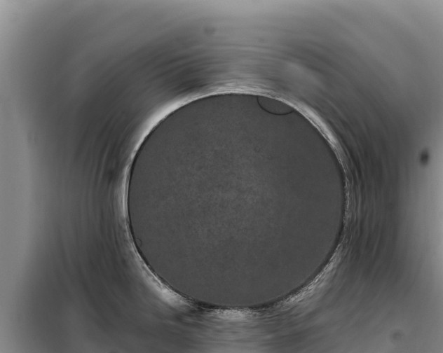 X0000099321246200805091034