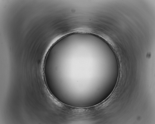 X0000099321248200805091034