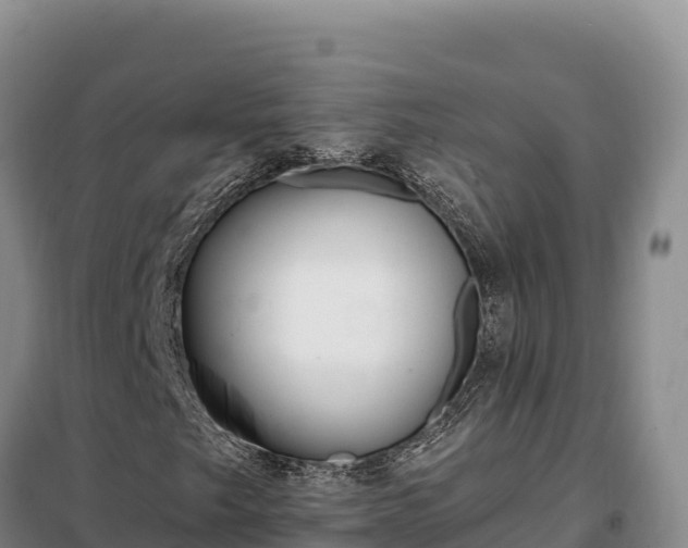 X0000099321249200805091033