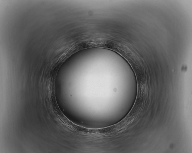 X0000099321250200805091033