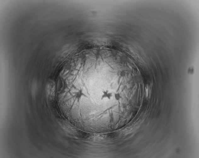 X0000099321251200805091033