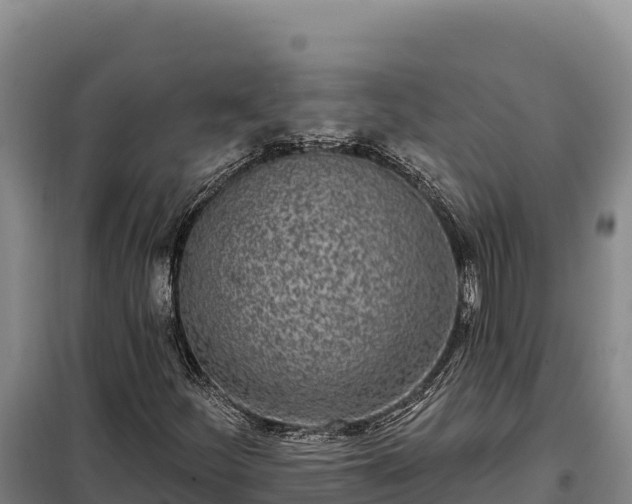 X0000099321252200805091033