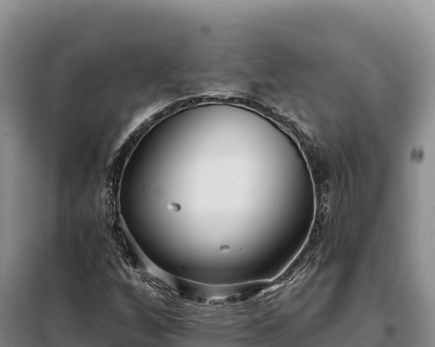 X0000099321256200805091033