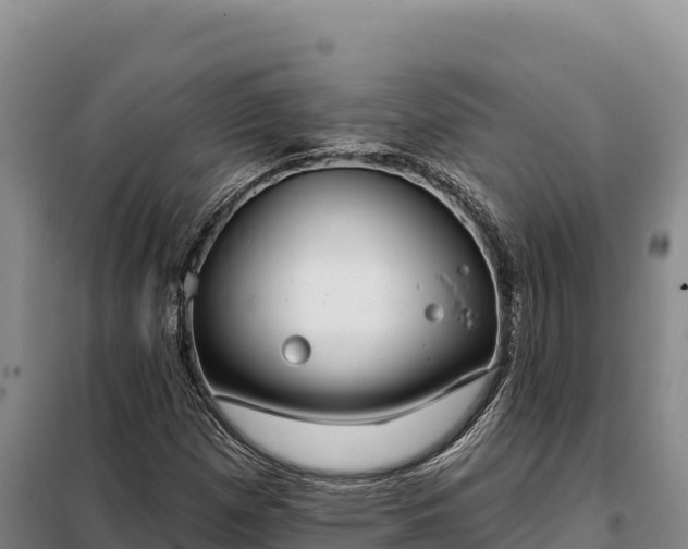 X0000099321257200805091033