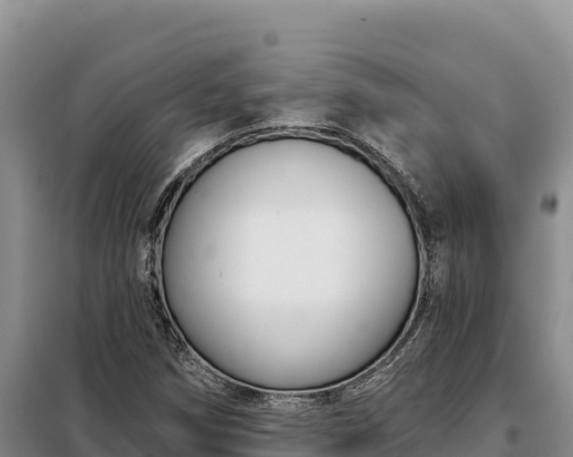 X0000099321258200805091033