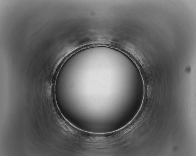 X0000099321260200805091033