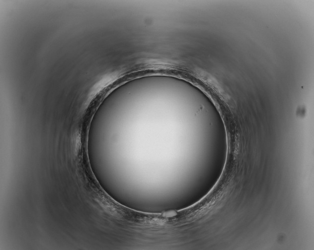 X0000099321261200805091033