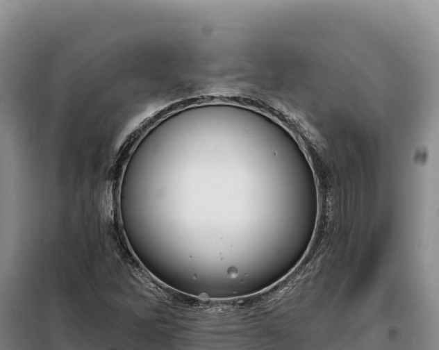 X0000099321262200805091033