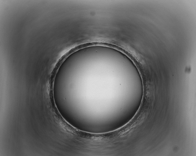 X0000099321264200805091033