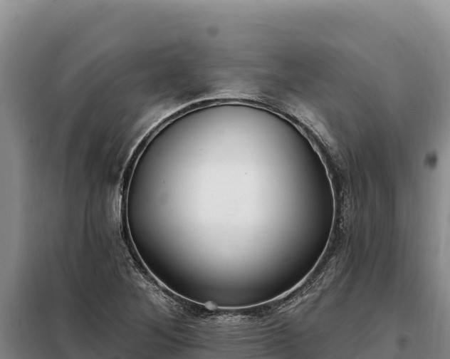 X0000099321268200805091033