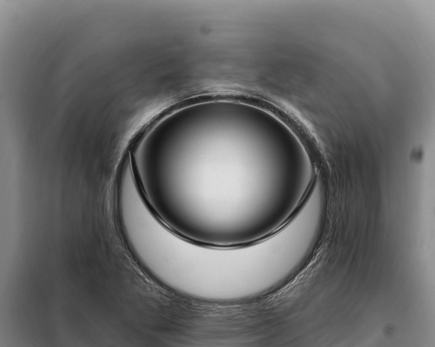 X0000099321269200805091033