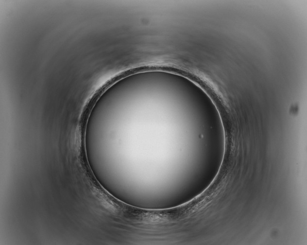 X0000099321270200805091033