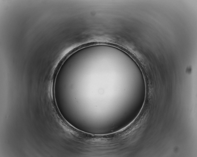 X0000099321272200805091033