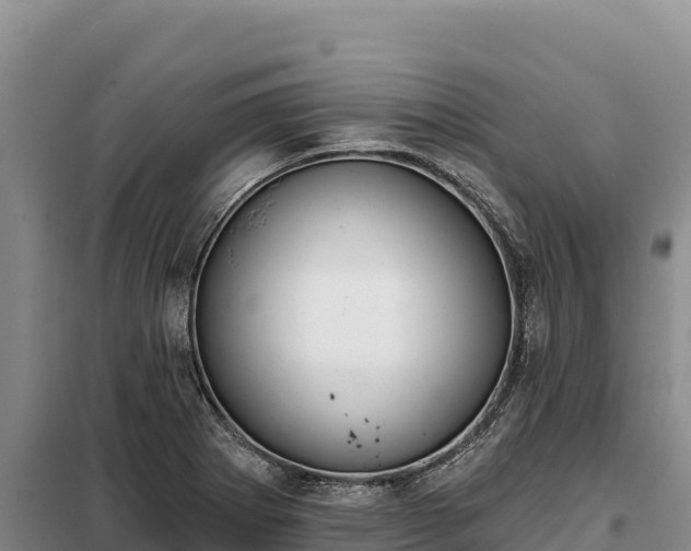 X0000099321273200805091033