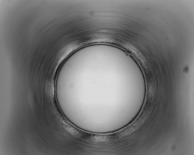 X0000099321274200805091033