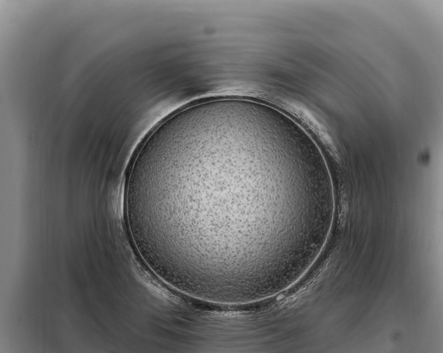 X0000099321276200805091033