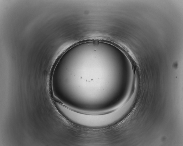 X0000099321277200805091033