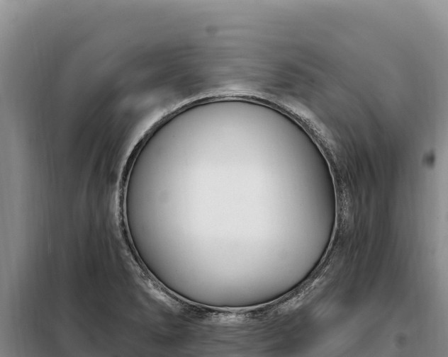 X0000099321278200805091033