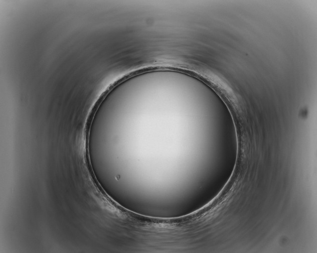 X0000099321280200805091033