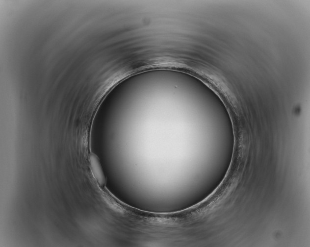 X0000099321281200805091033