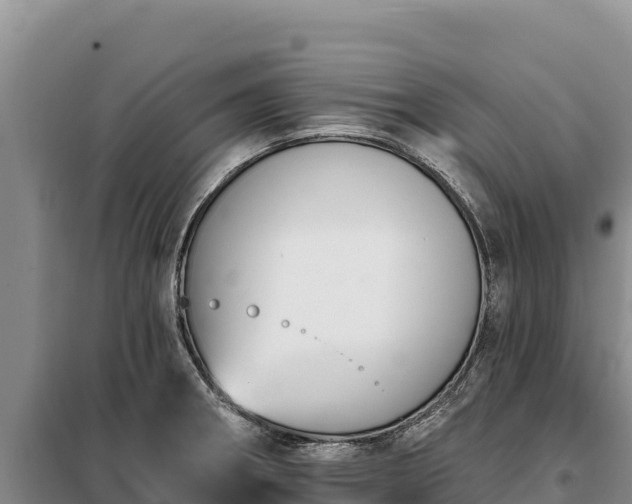 X0000099321282200805091033