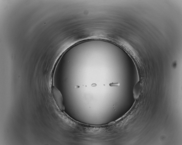 X0000099321284200805091033