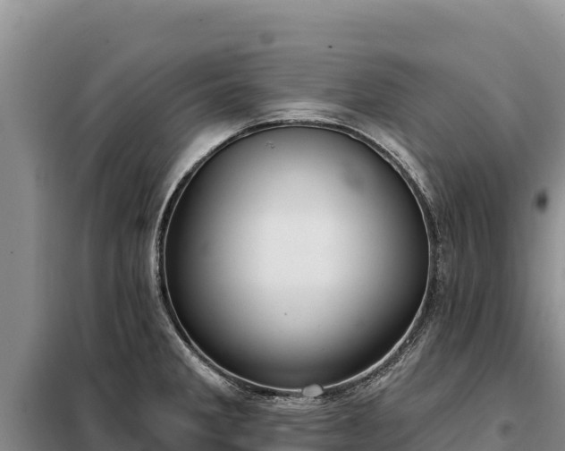 X0000099321285200805091033