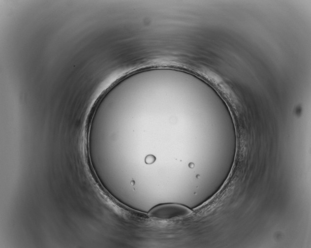 X0000099321286200805091033