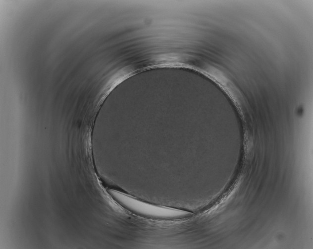 X0000099321289200805091033