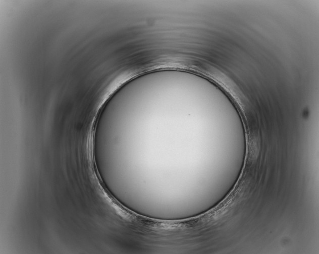 X0000099321290200805091033