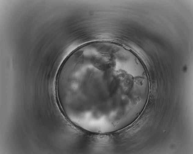 X0000099321291200805091033