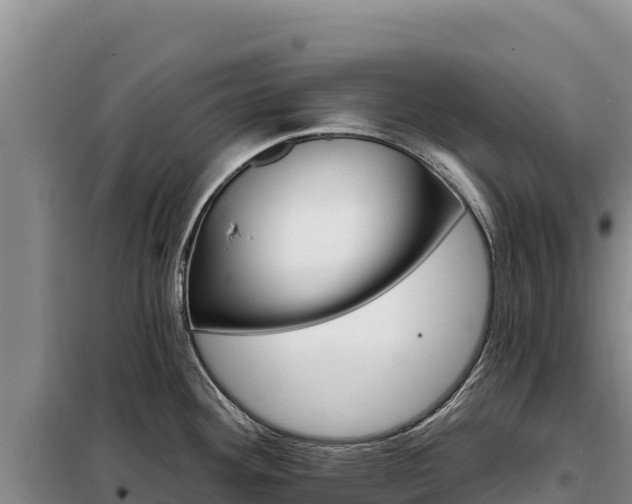 X0000099321292200805091033