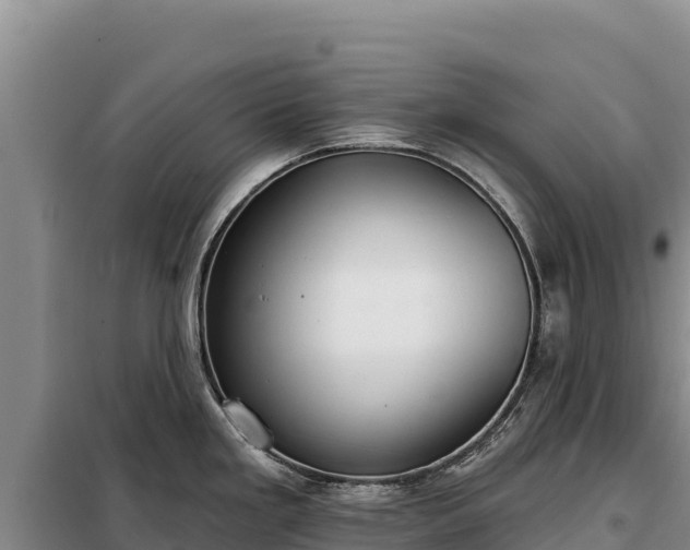 X0000099321293200805091033