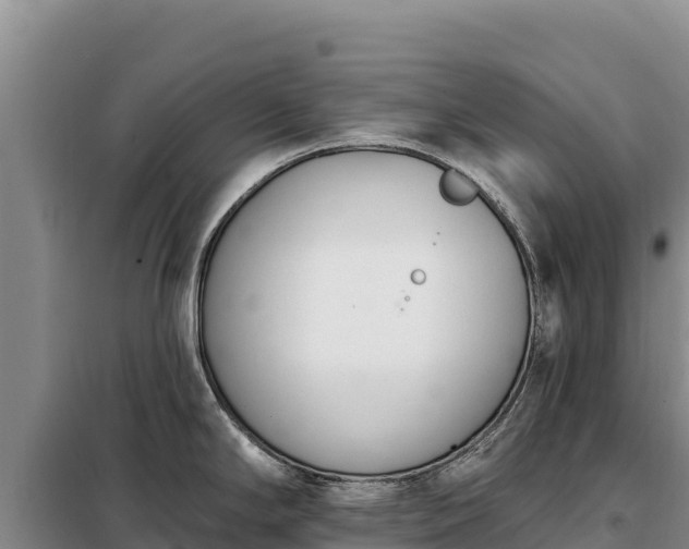 X0000099321294200805091033