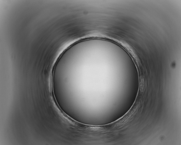 X0000099321295200805091033