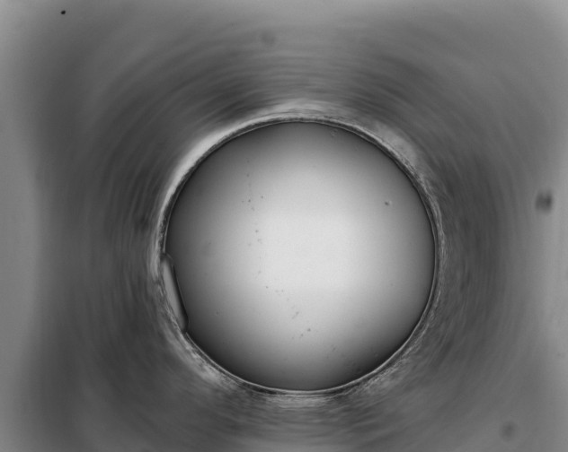 X0000099321296200805091033