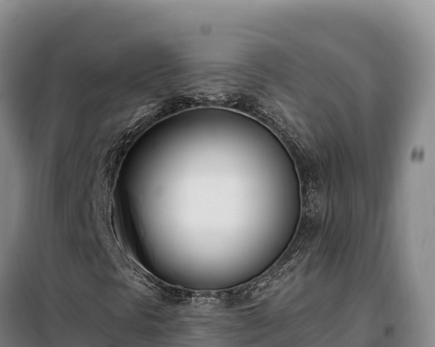 X0000099321297200805091032