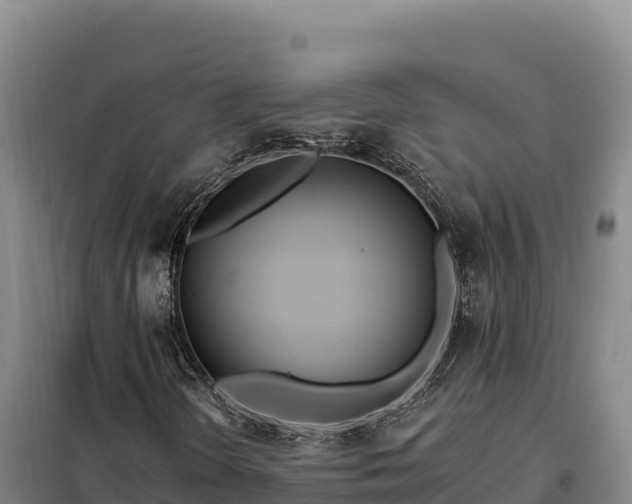 X0000099321298200805091032