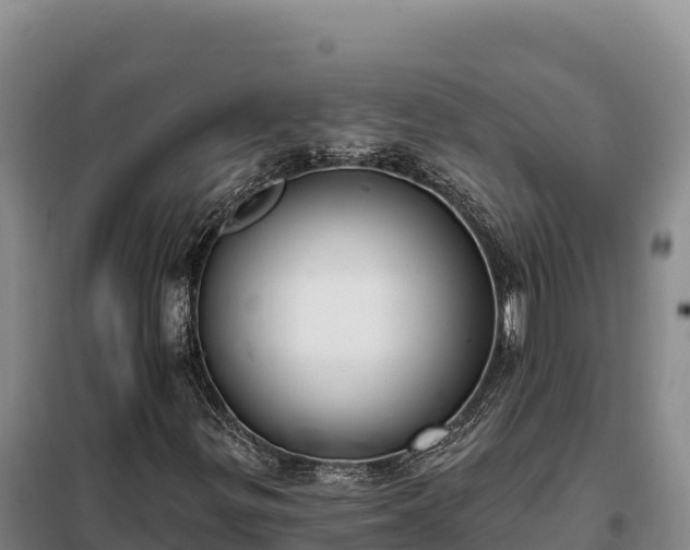 X0000099321299200805091032