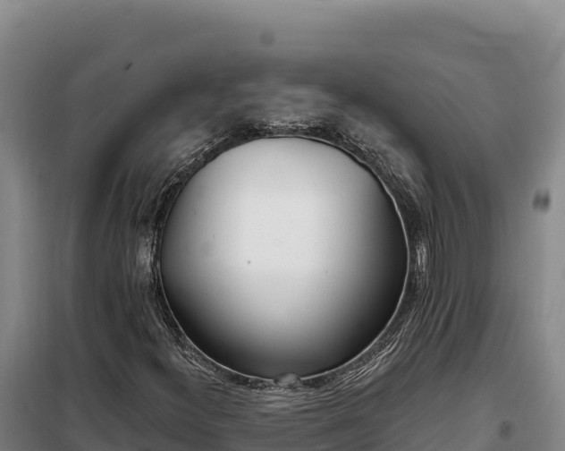 X0000099321300200805091032