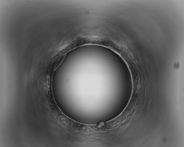 X0000099321301200805091032