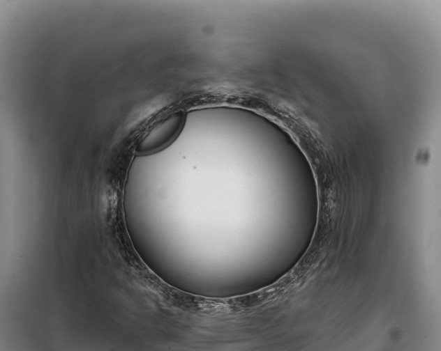 X0000099321302200805091032